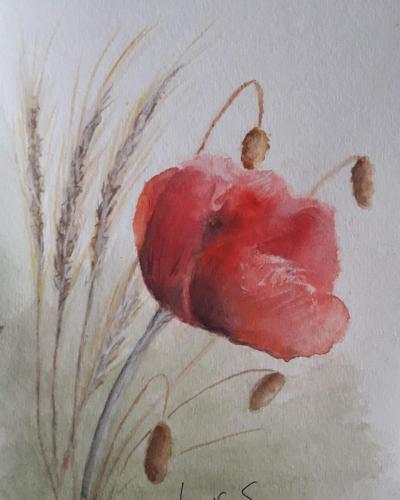 IMG_20180619_155346_888