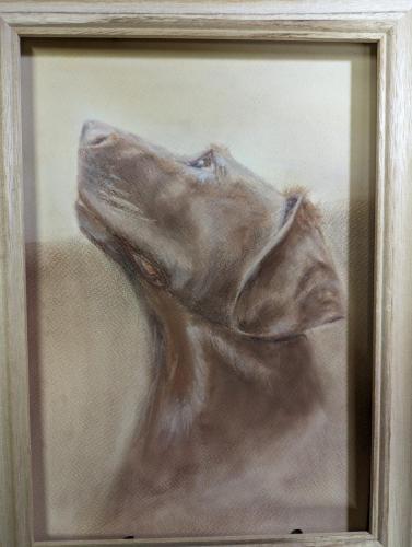 PXL_20230228_173656907